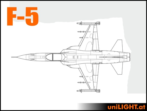 [BND-F5-5-STA] Northrop F-5 und F-20 (1:5, 2.8m, STANDRD)